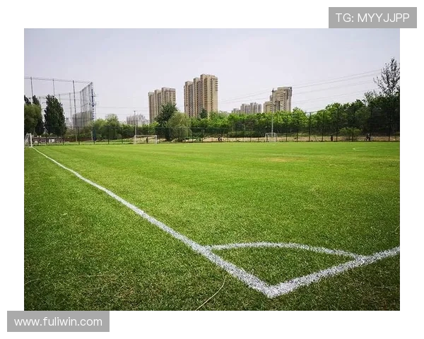 乌塘镇足球比赛场地周边设施与赛事发展潜力分析